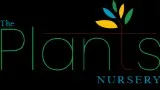 The plants nursery - buy plants online Bangalore