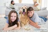 house cleaning services germantown md