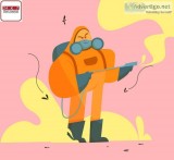 Bed Bugs Control Services in Pune