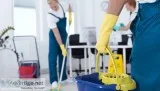 Are you Looking For Cleaning Services in Puyallup