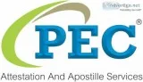 Pcc Translation English to Spanish