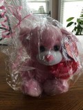 Pink Teddy Bear