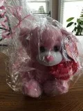 Pink Teddy Bear