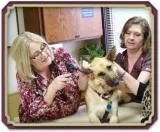 Pet Wellness Services in New Paltz NY