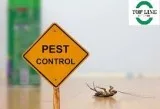 Rat control services surrey  Pest Control Service