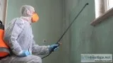 The Best Mold Cleanup near me
