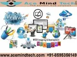 Best Website Designing Company in Delhi NCR India