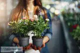 Best flower shop in dubai | online flower delivery in dubai | ri