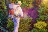 Pest control services in chennai
