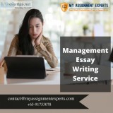 Management Essay Writing Help  Project Management Essay Help