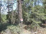 Timberon Lots for Sale