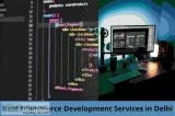 Best Ecommerce Development Services in Delhi