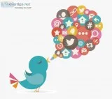 Get The Best Twitter Marketing Services By insightful Technologi