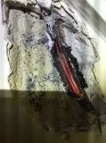 Highly Professional Electrician In Uxbridge