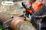 Tree removal