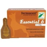Buy Essential 6 Skin Care Treatment For Dogs Online - DiscountPe