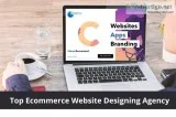 Top ecommerce website designing agency