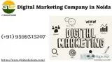 Digital Marketing Company in Noida