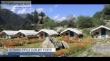 Camping in himachal pradesh