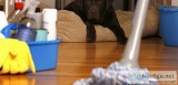 Expert Bond Cleaning Solutions - Gift4Mum Cleaning Act