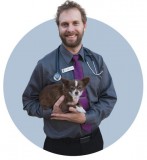 Get Best Pet Care Services by Experienced Veterinarian