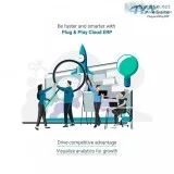 Simplify your business concerns with cloud erp software