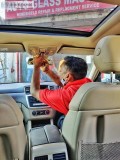 Audi Windshield Repair