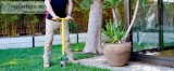 Pest Control Near Me  Thelocalguyspestcont rol.com.au