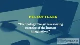 Pel softlabs pvt ltd - it services