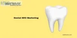 Seo marketing company for dentists and dental clinic