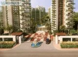 Puri Diplomatic Green Sector-111  Gurgaon - Floor Plan Price Mas