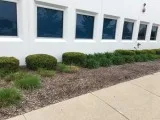 Grassroots Landscape Specialties  Paver Cleaning Barrington