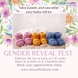 Gender Reveal Detection Testing