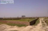 Buy A Premium Residential Land At Dholera Smart City