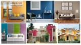 Professional House Painting Contractors