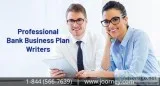 Professional Business Plan Writers