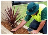 Jim s Mowing in Perth