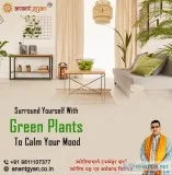Top Astrologer in New Delhi  Best Astrology Consultation near me