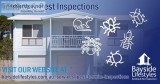 Termite and Pest Inspections - Brisbane