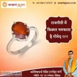 Famous Astrologer in New Delhi  Best Astrology Consultation near