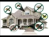 Pest Control in Hyderabad  Best Pest Control Services in Hyderab