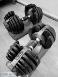 Bowflex dumbell set
