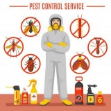 Pest Control Morayfield