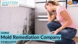 Certified Mold Remediation Company in Englewood CO
