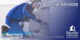 Pest Control Services - Brisbane
