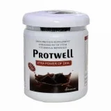 Protwell Protein powder chocolate Flavor | Richesm.com