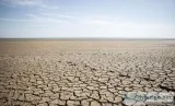 Don t let renting suck your income dry. Own your home to invest 