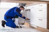Pest Control San Antonio-Satxpest