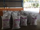 Vermicompost manufacturers in chennai