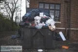 Hassle-free Skip hires for efficient waste management